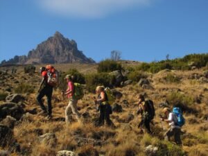 Kilimanjaro Trekking